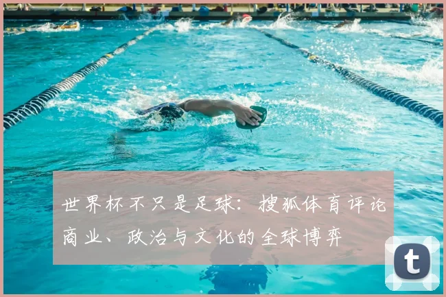 世界杯不只是足球：搜狐体育评论商业、政治与文化的全球博弈