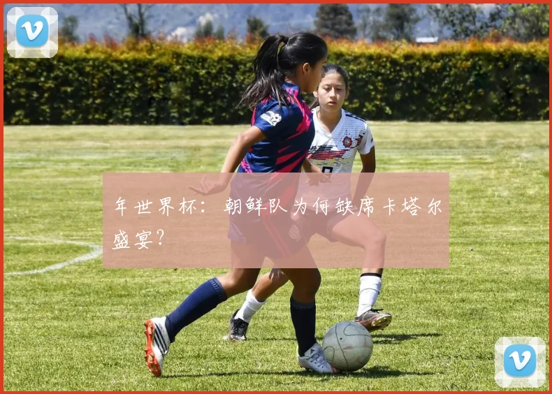 年世界杯：朝鲜队为何缺席卡塔尔盛宴？