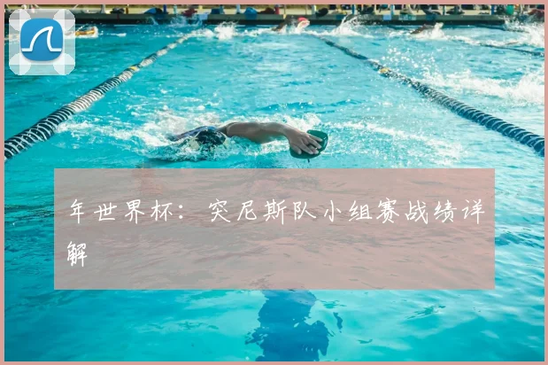 年世界杯：突尼斯队小组赛战绩详解