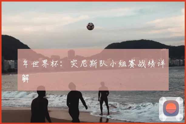 年世界杯：突尼斯队小组赛战绩详解