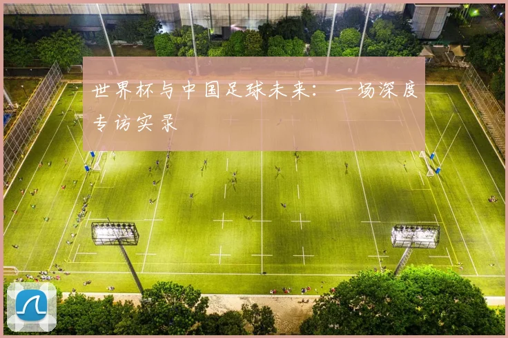 世界杯与中国足球未来：一场深度专访实录