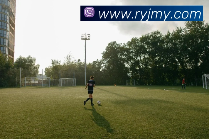 App Interface Preview